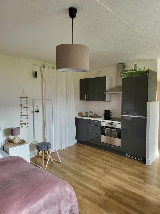 Studio Des Fontanettes Miege Luaran gambar